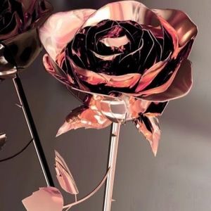 Meet your Posher, Sarai